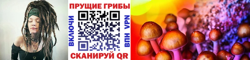 Псилоцибиновые грибы Magic Shrooms  где найти   Татарск 