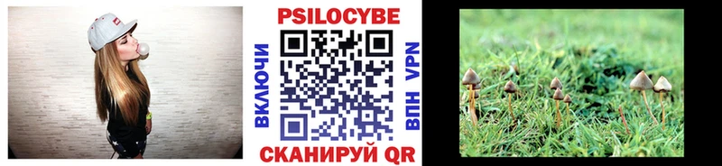 Галлюциногенные грибы мицелий Татарск